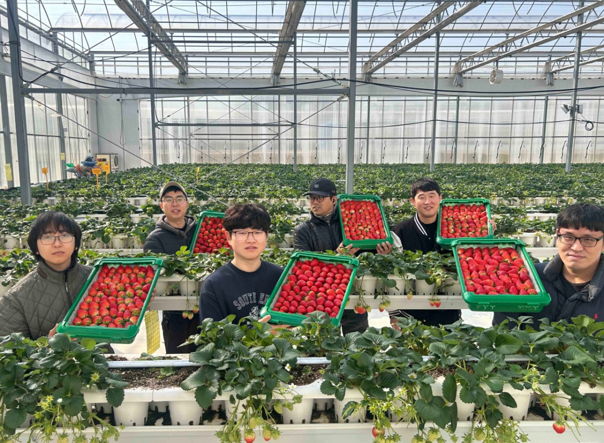 경북 의성의 '진한딸기 공선회' 청년 농부들이 상품과 함께 사진 촬영하고 있다. /사진제공=쿠팡. 