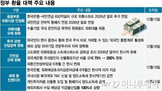 정부 환율 대책 주요 내용/그래픽=임종철