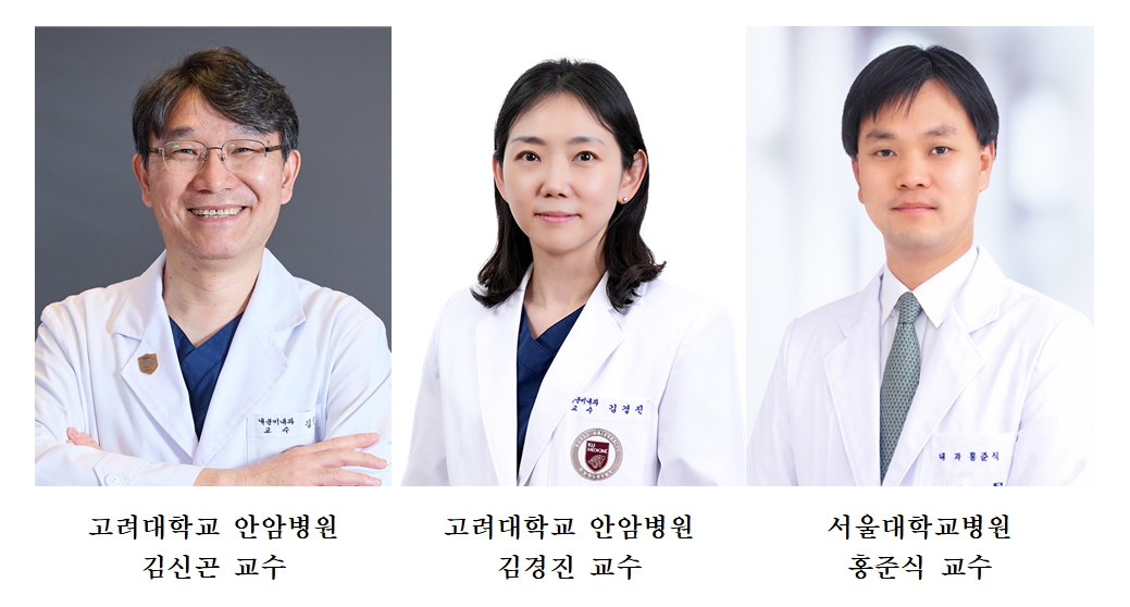  고려대학교 안암병원 내분비내과 김신곤·김경진 교수, 홍준식 서울대학교병원 혈액종양내과 교수. /사진제공=고려대학교 안암병원