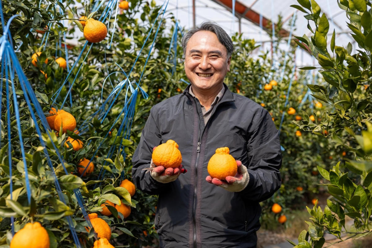 고일학 제주남원농협 조합장. /사진제공=쿠팡.