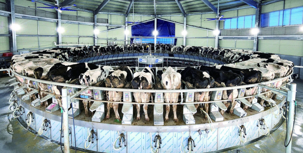 지난해 준공된 충남 당진 스마트낙농단지. /사진=농림축산식품부 제공