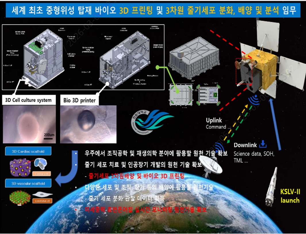 한림대는 차세대중형위성 3호에 '바이오 3D 프린팅 및 3차원 줄기세포 분화·분석 기기'를 탑재해 실험중이다. 이는 우주에서 줄기세포가 어떻게 자라는지 관측할 희귀 데이터가 된다. /사진=한림대 