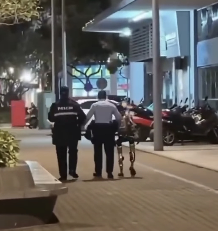 휴머노이드(인간형) 로봇이 노인을 놀라게 해 경찰에 체포됐다./사진=온라인 SNS 화면캡처