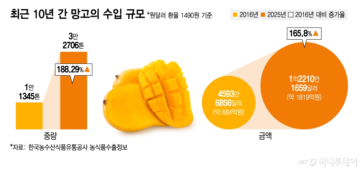 최근 10년 간 망고의 수입 규모/그래픽=김지영