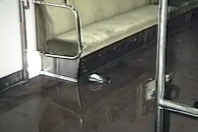 1995년 3월 20일. 일본 옴진리교 광신도들이  독성 가스인 '사린'을 살포한 도쿄 지하철 현장 모습. 바닥에 사린이 담긴 팩이 놓여있으며, 바닥이 액체 상태의 사린으로 흥건히 젖어있다. /사진=JTBC '세계 다크투어' 방송 화면