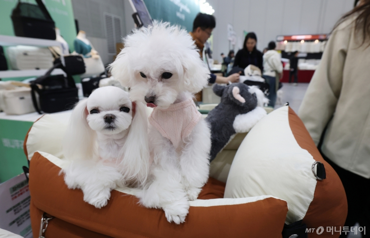 (수원=뉴스1)  /사진=(수원=뉴스1) 김영운 기자