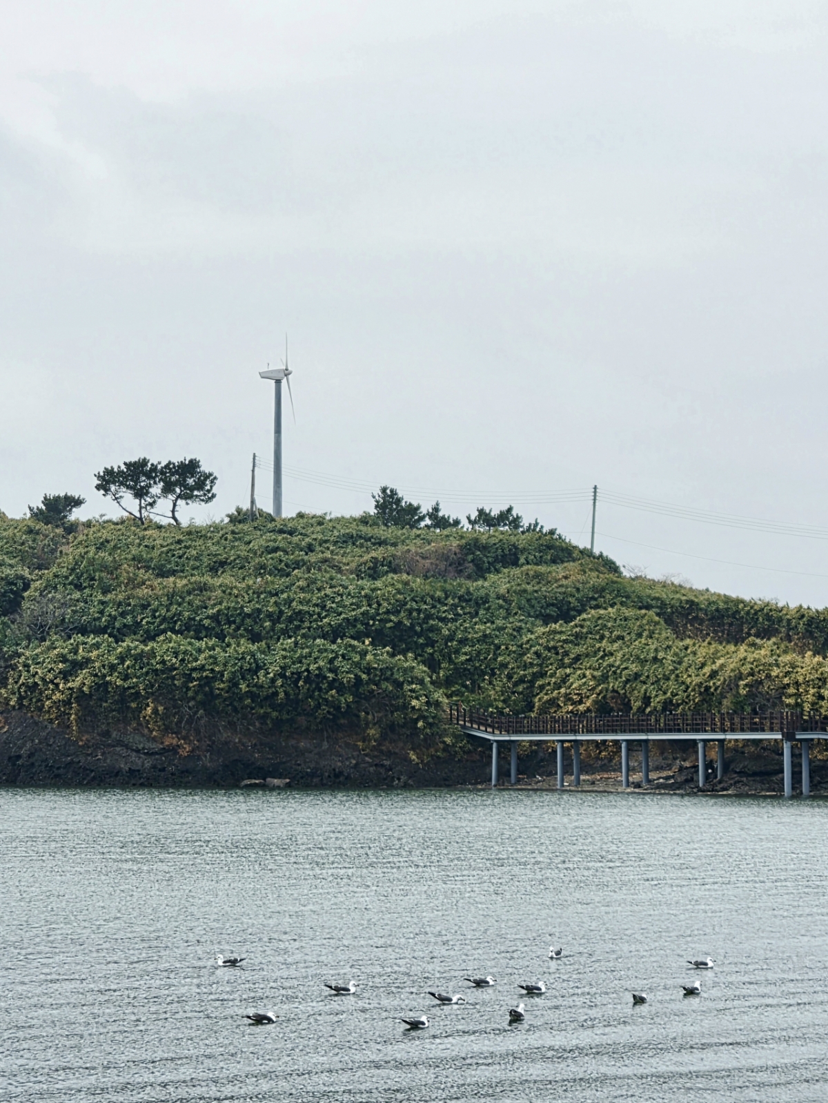 죽도에 설치된 10kW 규모 '미니 풍력발전기' 모습/사진=권다희 기자