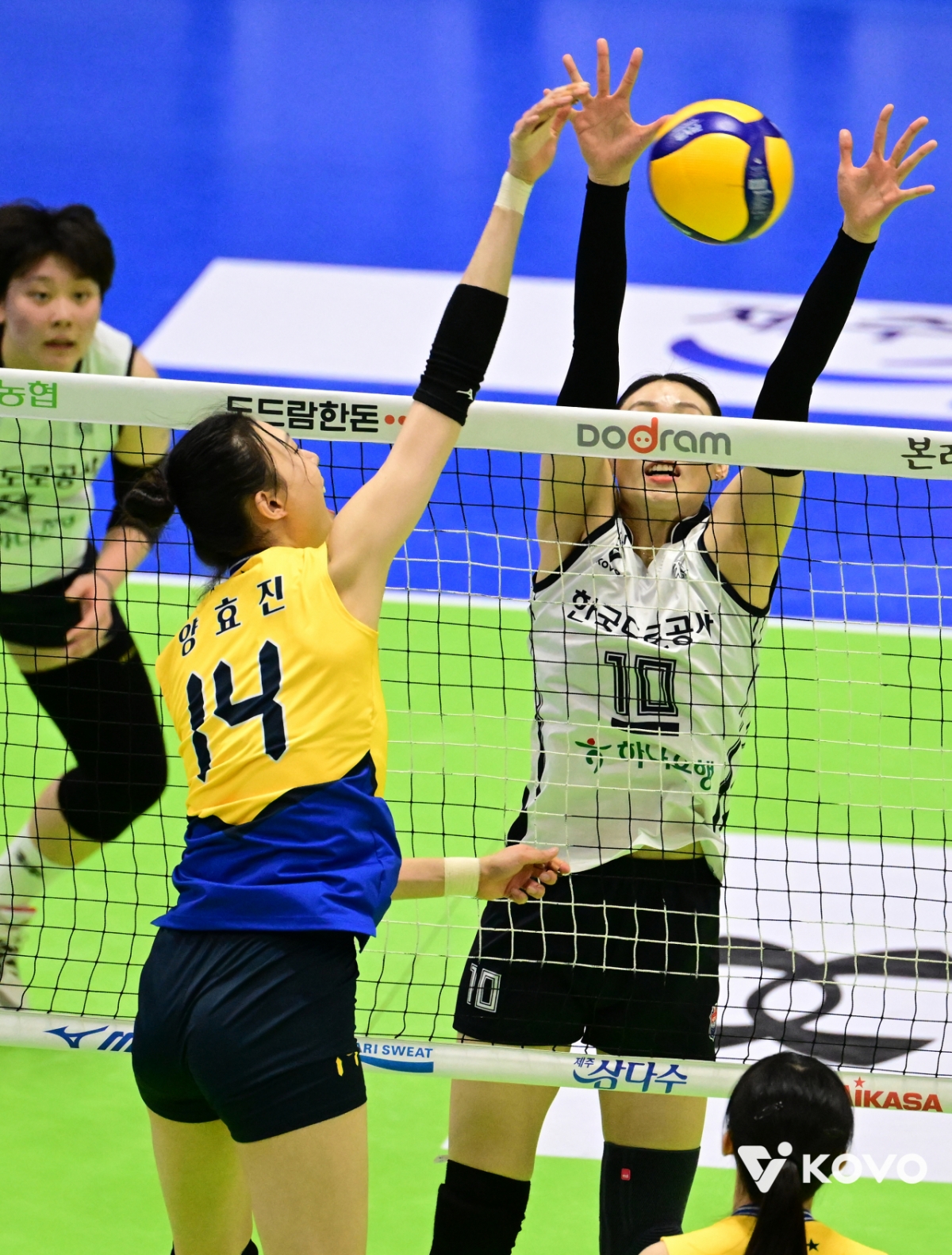 지난 시즌 양효진과 배유나의 맞대결 모습. /사진=한국배구연맹 제공
