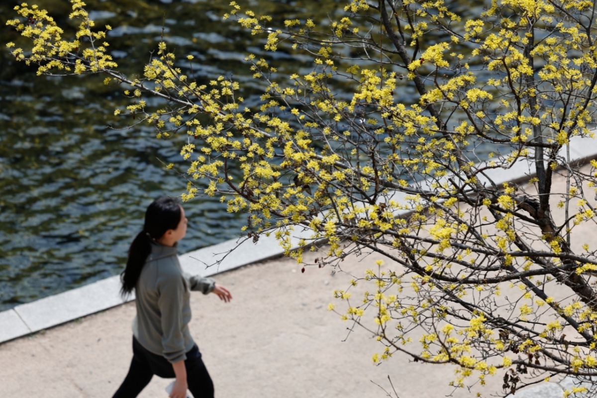 일요일인 22일 전국 대부분 지역이 흐리겠다. 기온은 평년과 비슷하거나 조금 높겠다. /사진=뉴스1
