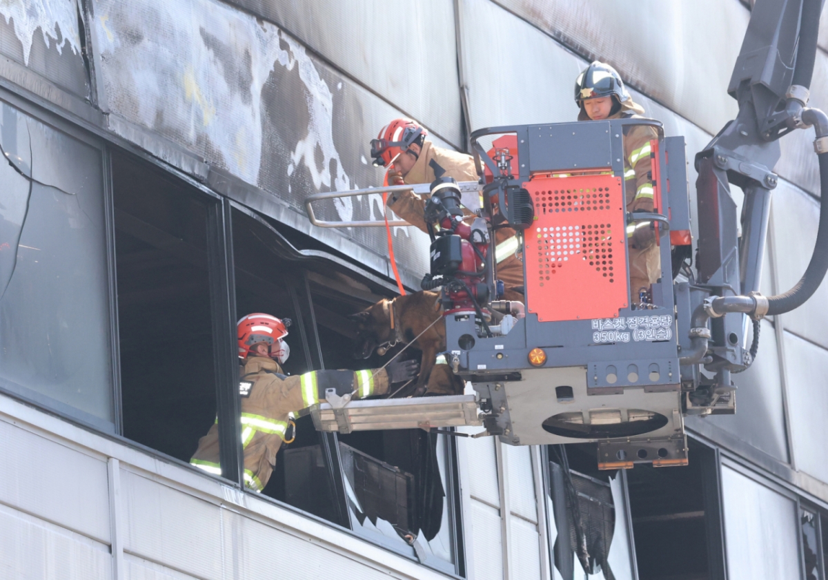 21일 대형 화재로 인명피해가 발생한 대전 대덕구 자동차 부품 제조 공장에서 실종자를 수색하기 위해 구조견이 투입되고 있다. /사진=뉴스1