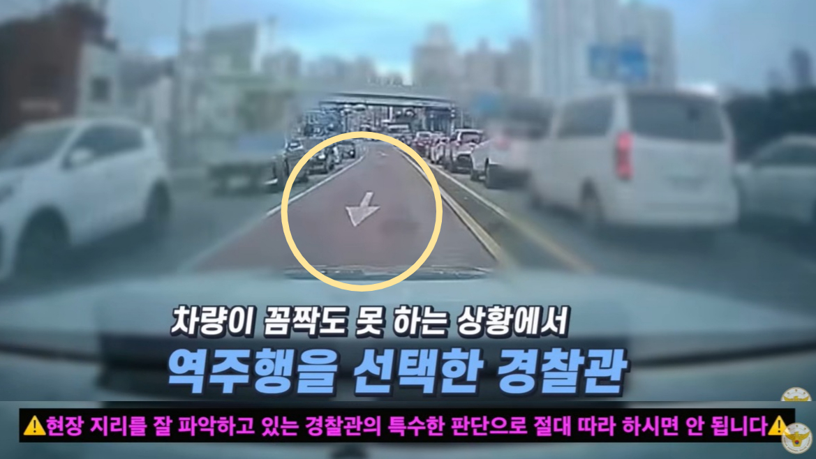 부산 해운대구 한 도로에서 경찰차가 역주행으로 질주하는 모습이 온라인에 공유돼 화제다. /사진=대한민국 경찰청 유튜브 갈무리