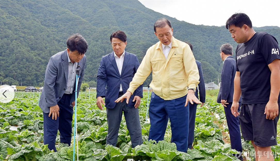 홍문표 aT 사장이 2025년 8월 강원도 정선 여름배추 신품종 재배지를 찾아 관계자들과 함께 작황을 살펴보고 있다. /사진=aT