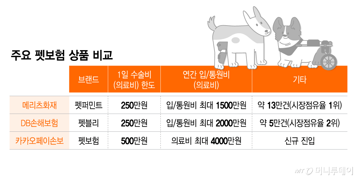 주요 펫보험 상품 비교/그래픽=이지혜