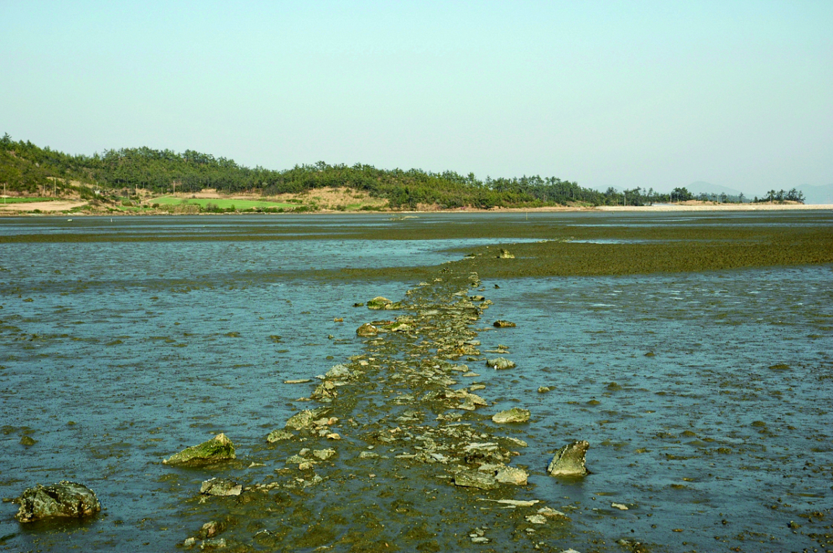 물때가 활용되는 신안군 팔금도 거사리의 노둣길. / 사진제공 = 국가유산청