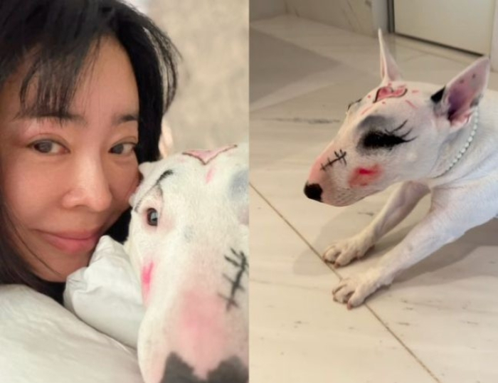 방송인 이혜영이 반려견 얼굴에 낙서한 사진을 SNS(소셜미디어)에 올려 '동물학대' 논란에 휩싸였다. /사진=이혜영 인스타그램 캡처