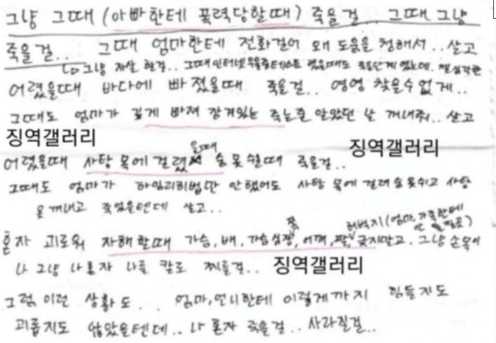 김소영의 옥중 편지로 추정되는 편지 일부 /사진=디시인사이드
