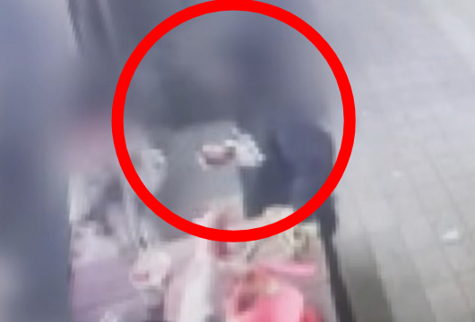 30대 여성이 자녀에게 전자담배 흡연을 권하고, 자녀의 반려견 학대를 방치한 사건이 발생했다. /사진=JTBC '사건반장'