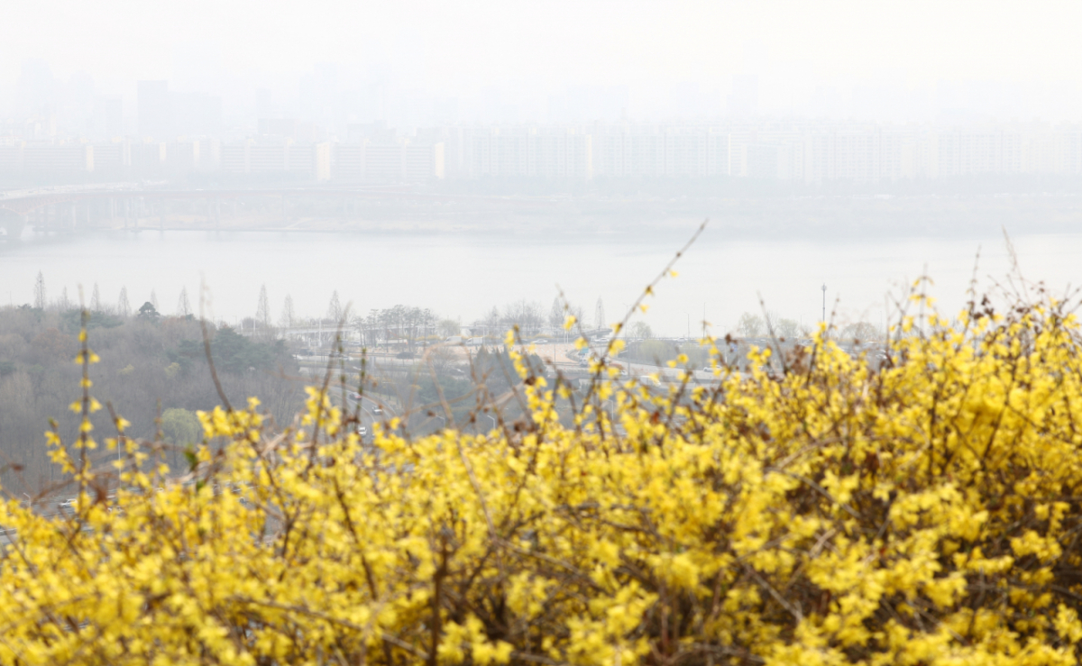 전국 대부분 지역의 초미세먼지 농도가 '나쁨' 수준을 보인 27일 서울 성동구 응봉산에서 바라본 도심이 뿌옇게 보이고 있다./사진=뉴스1