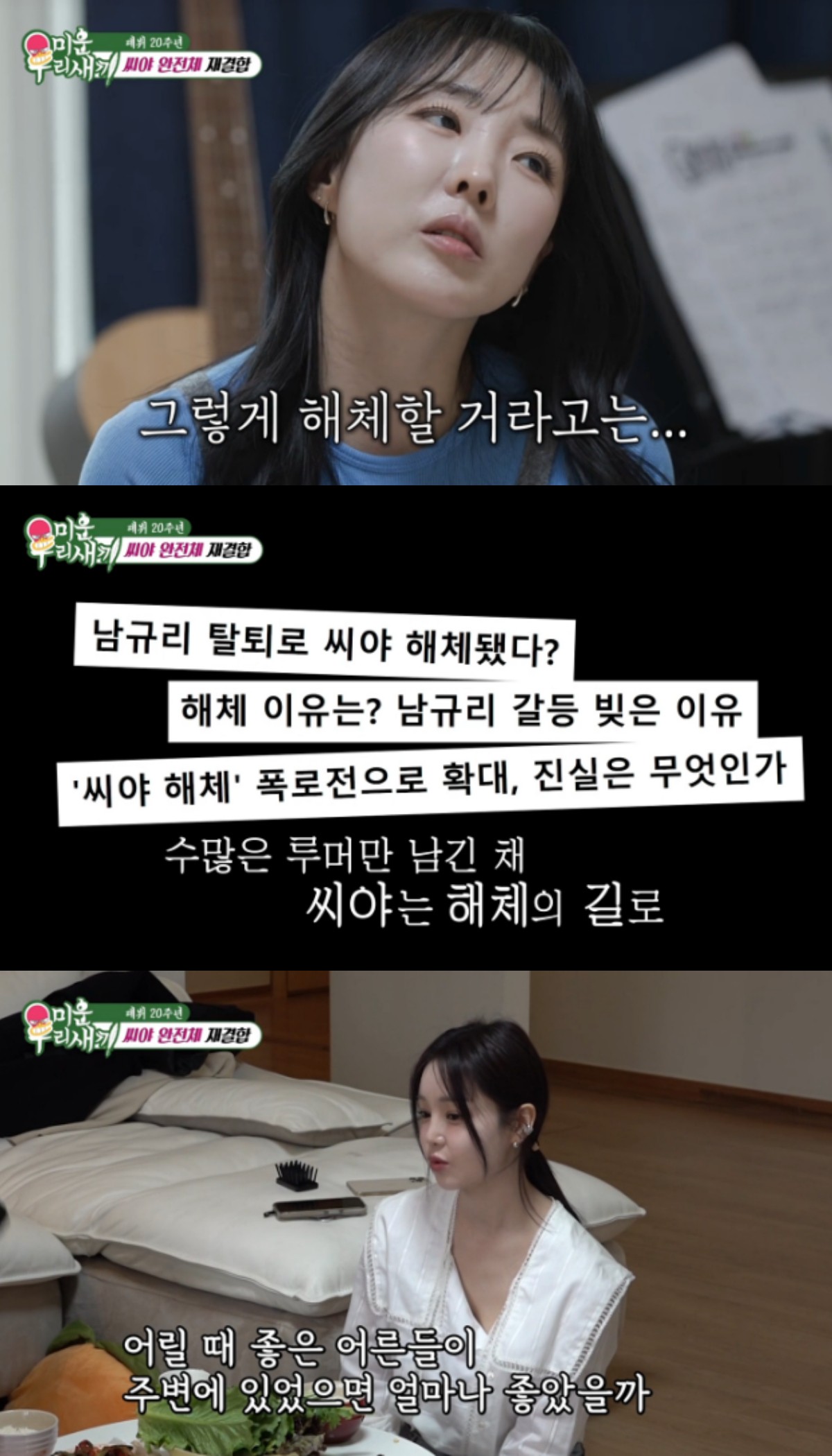 /사진=SBS '미운 우리 새끼' 방송화면 캡처