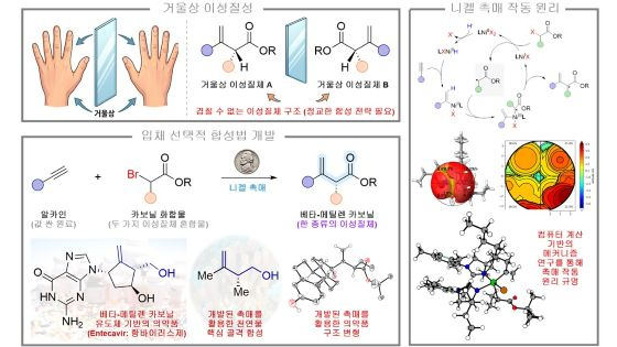 니켈 촉매 설계를 통한 입체 선택적 합성법 개발 및 컴퓨터 계산을 통한 메커니즘 규명/사진=DGIST