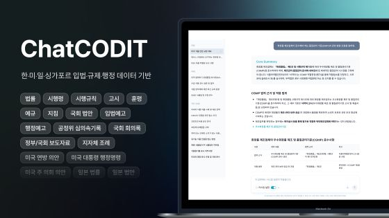 챗코딧/자료=코딧 