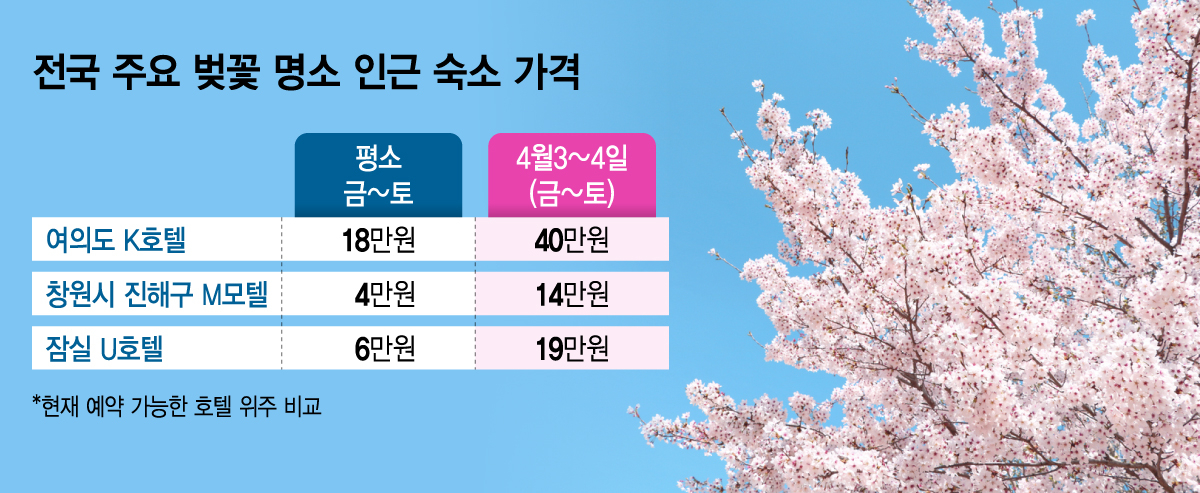 /그래픽=김지영 디자인 기자