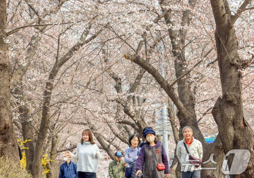 오늘(31일) 전국에 내리는 비는 오전에 그칠 것으로 예상된다. 비가 그친 뒤 오후부터 기온이 오르면서 낮 최고기온이 21도(℃)까지 오를 것으로 예상된다./사진=뉴스