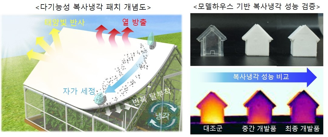 박준용 금오공대 재료공학부 교수팀의 연구자료 이미지./사진제공=금오공대