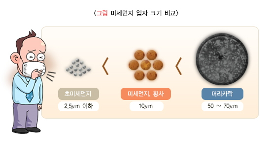 /자료=국가건강정보포털