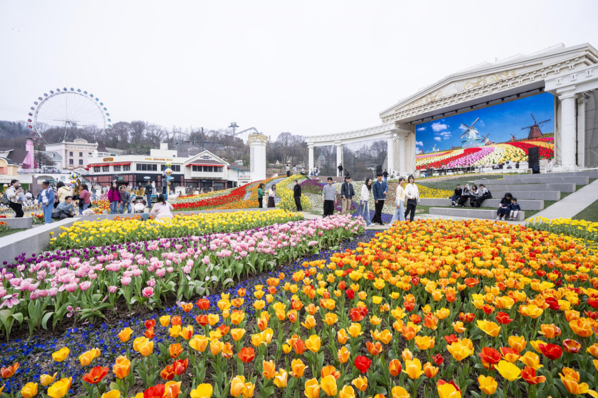 튤립축제가 한창인 포시즌스가든. /사진제공=에버랜드