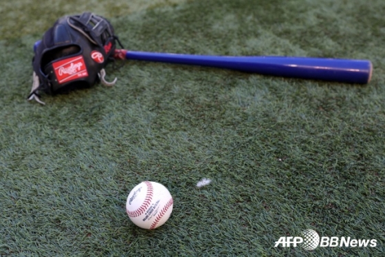 나무 배트. /AFPBBNews=뉴스1