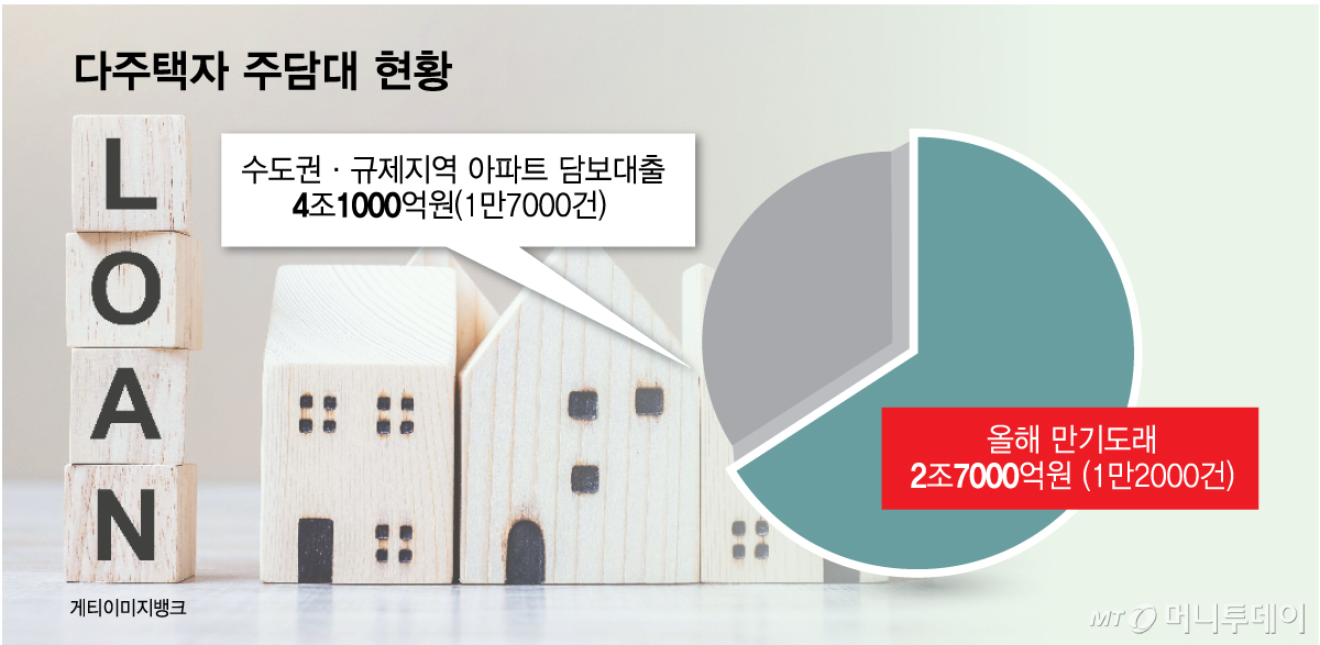 다주택자 주담대 현황/그래픽=김다나