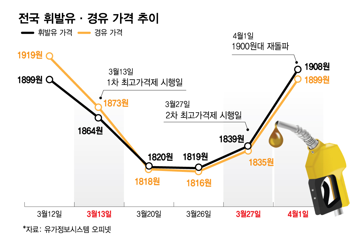 /그래픽=김다나 디자인 기자.