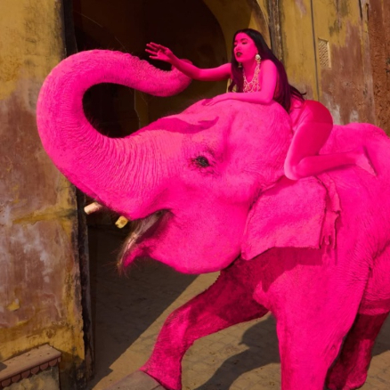화보 촬영을 위해 코끼리를 분홍색으로 칠했던 러시아 사진작가가 최근 코끼리가 폐사한 이후 살해 협박을 받고 있다고 토로했다./사진=인스타그램 'julia.buruleva'