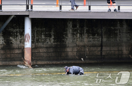 지난달 31일 대구 북구 칠성동 잠수교 아래 신천에서는 50대 여성 A씨의 시신이 담긴 캐리어(여행용 가방)가 발견됐다. 사진은 이날 신고를 접수한 경찰이 대구 북구 칠성동 잠수교 주변을 수색하고 있는 모습이다. /사진=뉴스1  