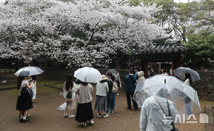 오늘(4일) 전국 대부분의 지역에서 비가 내릴 것으로 예상된다./사진=뉴시스
