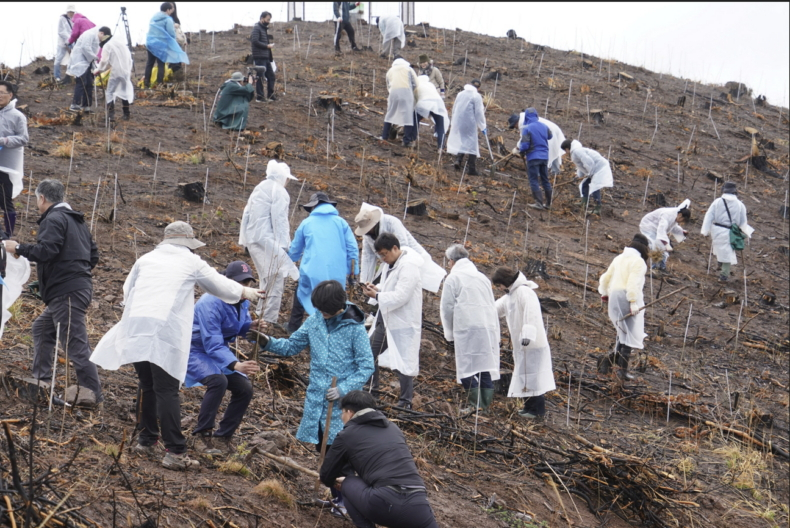 산림청은 4일 경북 안동시 산불피해지에서 평화의 숲과 함께 산초나무와 산벚나무 등을 심으며 복원에 힘을 보탰다./사진제공=산림청