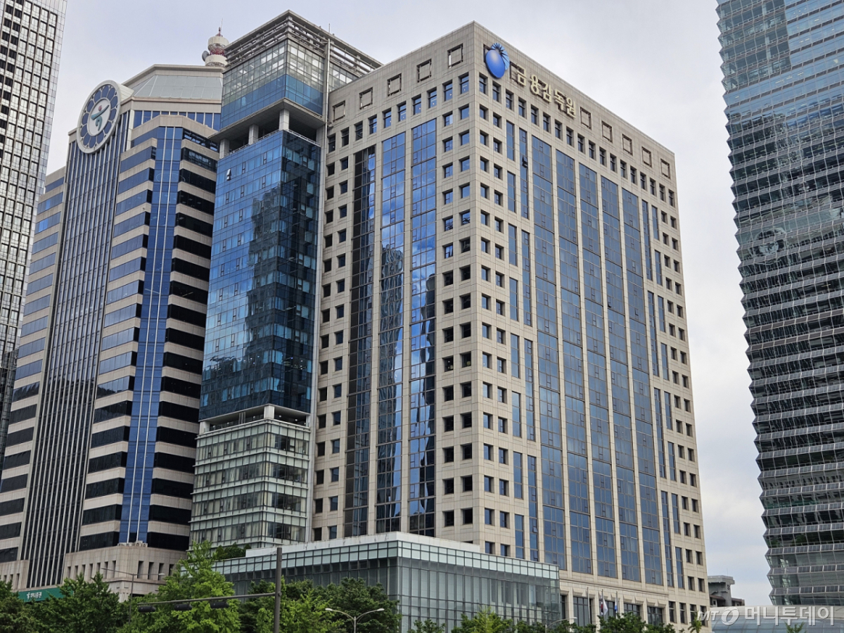 서울 영등포구 여의도 금융감독원 전경 /사진=김도엽