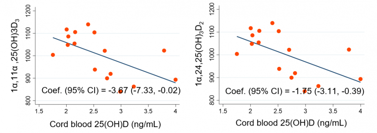 제대혈 비타민D 농도와 비활성형 비타민D 대사체 수준은 음의 연관성을 보인다. 이는 출생 초기 비타민D 상태가 이후 비타민D 대사와 면역 반응에 영향을 줄 가능성을 시사한다./사진=질병관리청