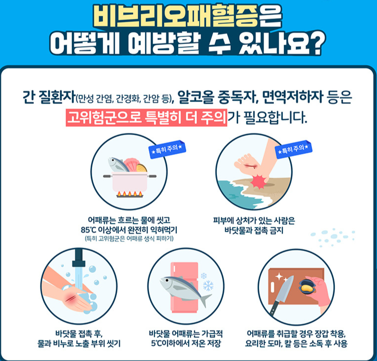 비브리오패혈증 예방법./사진=질병관리청