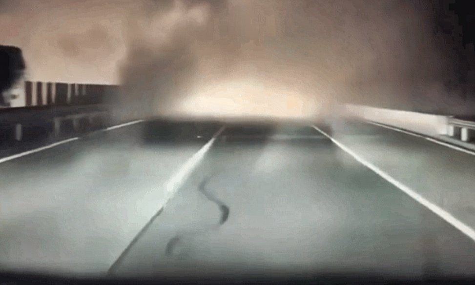 시야 확보가 불가능한 상황에서도 사고를 방지한 테슬라 전기차의 자율주행(FSD) 영상이 화제를 모으고 있다./사진=엑스(X·옛트위터)