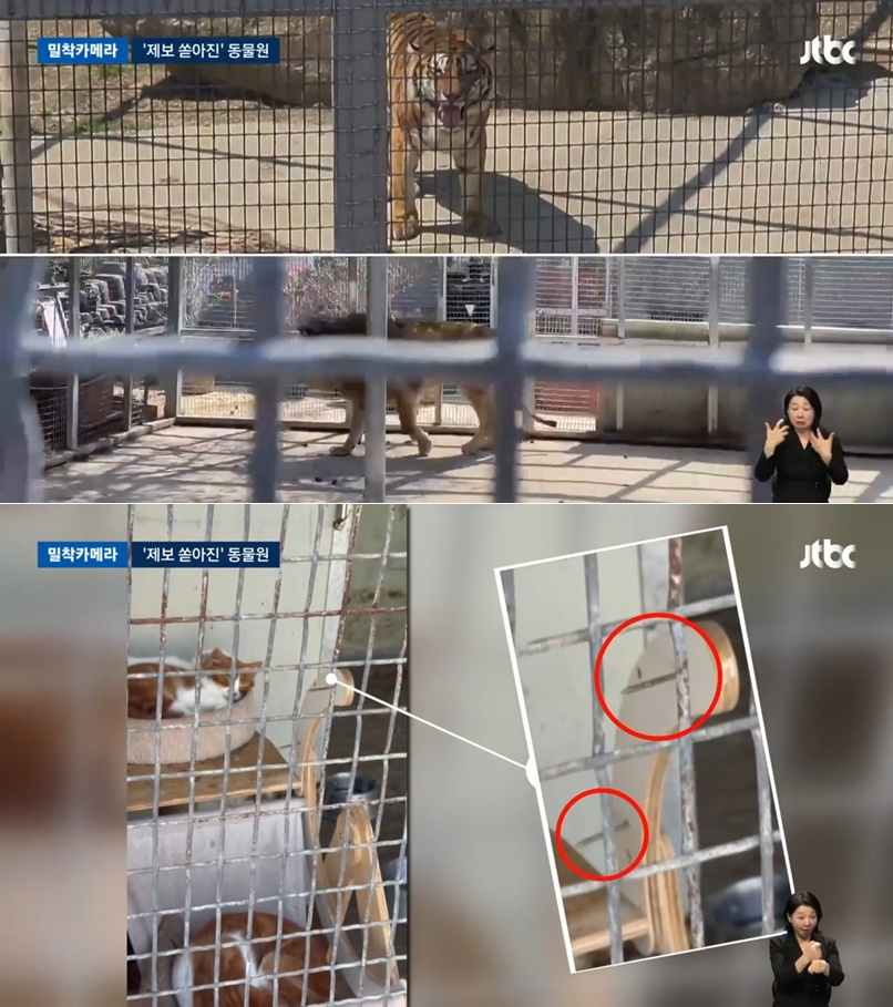 경북 구미시 한 동물원에서 동물들이 오물과 먹이가 뒤섞인 환경에 방치되고, 살아있는 동물이 먹이로 제공된 사실이 드러나면서 학대 논란이 일고 있다./사진=JTBC뉴스