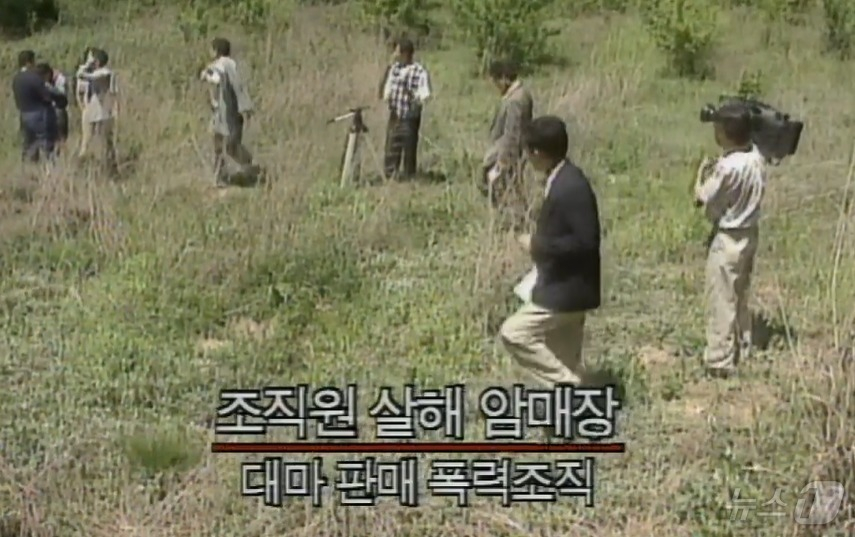 1994년 안양 AP파 살인사건 발생 당시 mbc뉴스 보도 모습 /사진=뉴시스, mbc 캡처