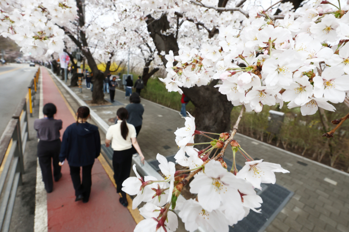 수요일인 8일 전국이 대체로 맑겠으나 출퇴근 길에는 쌀쌀한 날씨가 찾아오겠다. /사진=뉴스1