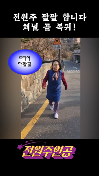 배우 전원주가 낙상 사고로 고관절 수술을 받은 후 재활을 마치고 유튜브로 복귀한다. /사진=유튜브 채널 '전원주 전원주인공'