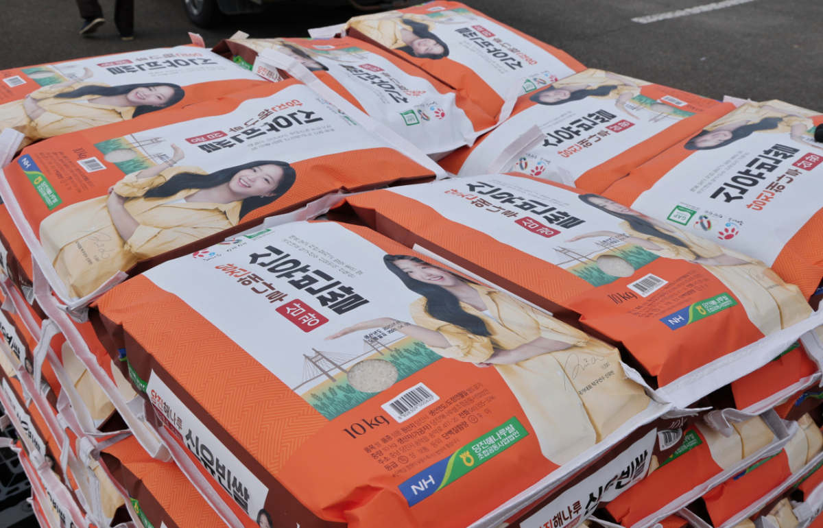 /사진=매니지먼트 GNS 제공