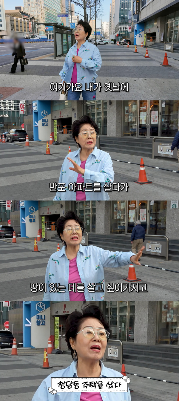 배우 선우용여가 50년 전 살았던 서울 강남구 청담동 집터를 둘러봤다.  /사진=유튜브 채널 '순풍 선우용여'