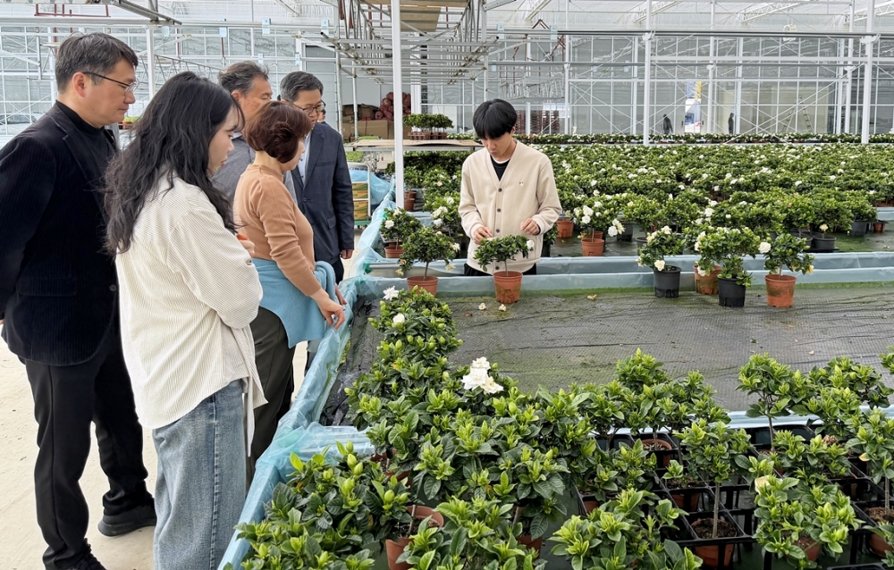화훼농가 경영 개선 맞춤형 컨설팅 현장./사진제공=aT