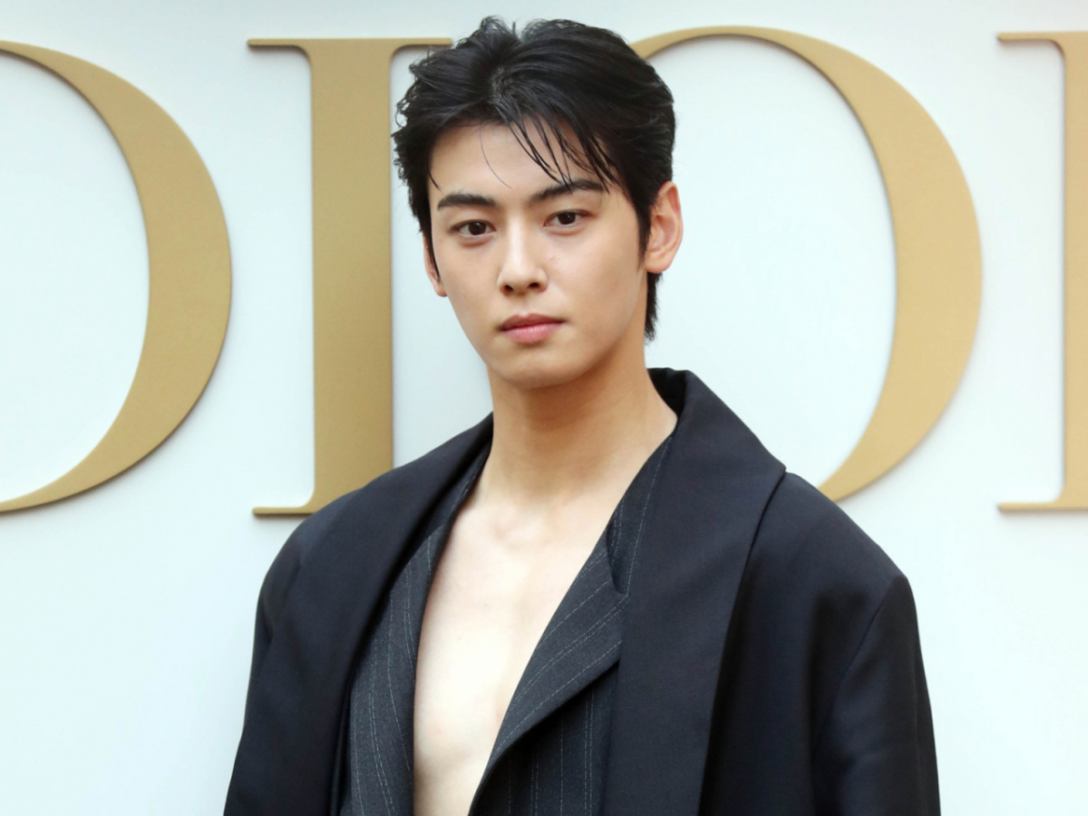 차은우 군악대 재보직을 검토해 달라는 민원이 재차 접수됐다. /사진=스타뉴스