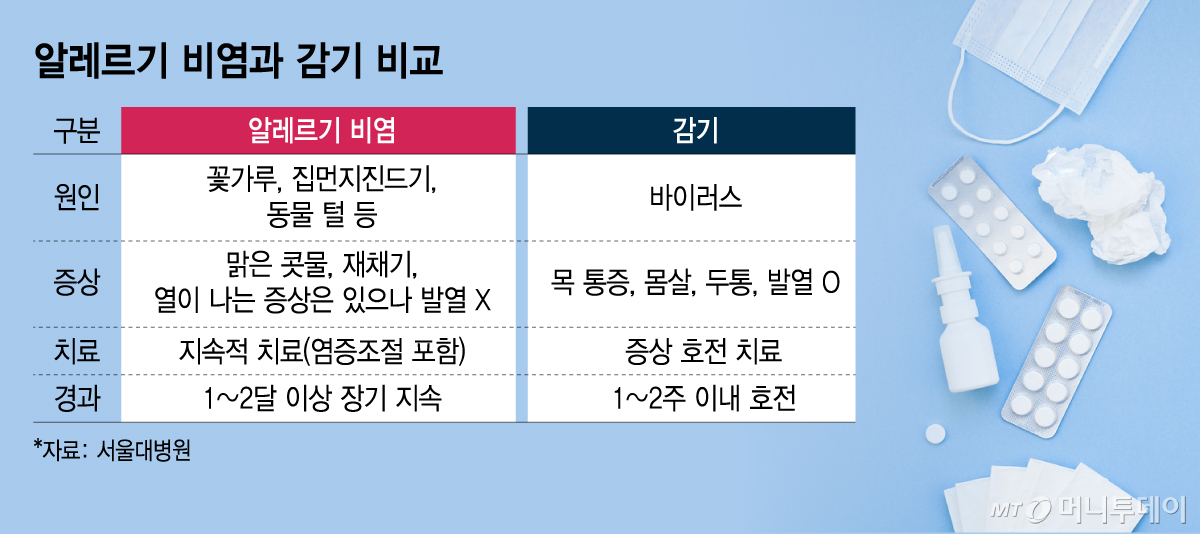 알레르기 비염과 감기 비교. /그래픽=김지영 디자인기자